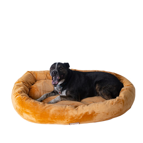Cove Snug — Memory Foam Bed for Small Dogs & Cats