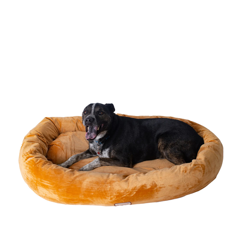 Cove Snug — Memory Foam Bed for Small Dogs & Cats
