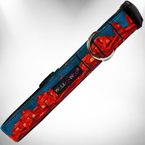 Walk-e-Woo Rockin Red Rocks nylon dog leash, southwestern print