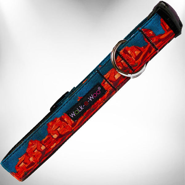 Walk-e-Woo Rockin Red Rocks nylon dog leash, southwestern print